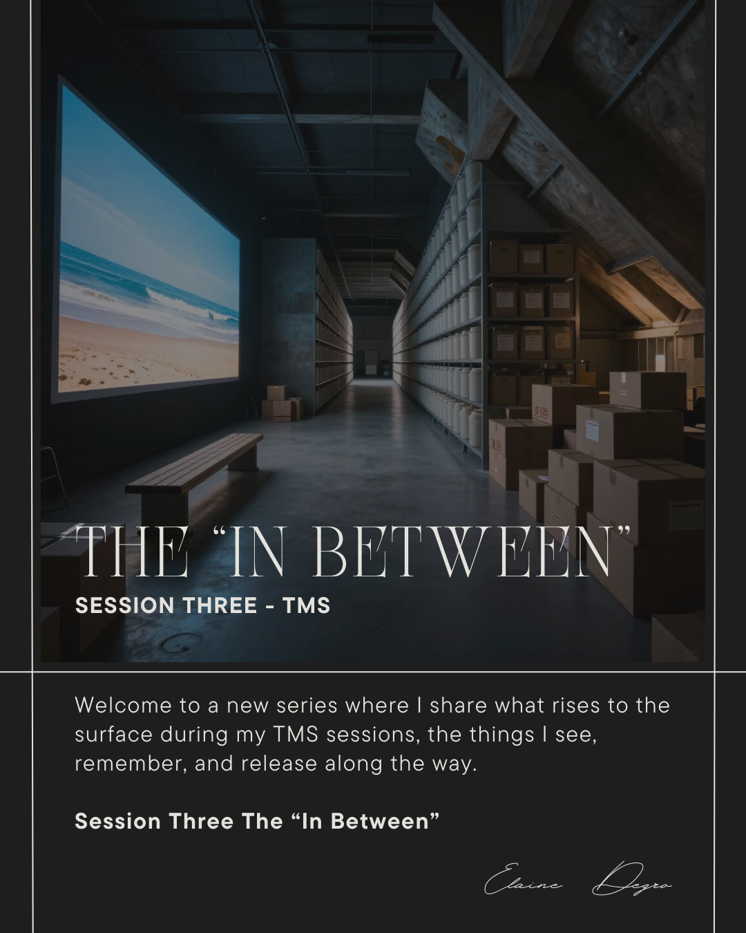 TMS JOURNAL: SESSION THREE